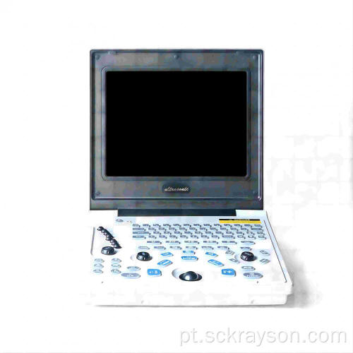 Ultrassom laptop de gravidez de gato britânica de cabelos compridos